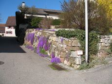 Weil am Rhein Ötlingen 004.jpg